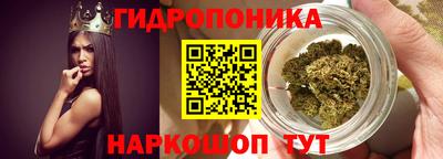 спиды Шахты