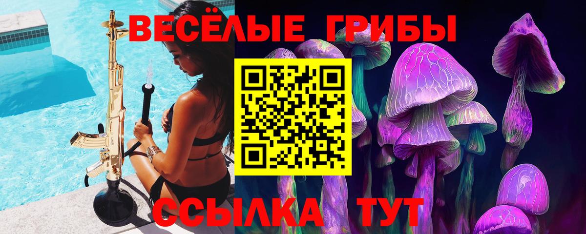 Галлюциногенные грибы Magic Shrooms Химки